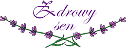 logo Zdrowy Sen